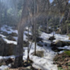 Meet your Posher, Jackie